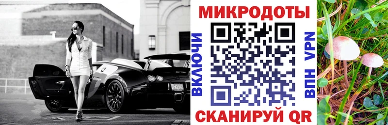 darknet формула Томари Галлюциногенные грибы Psilocybe
